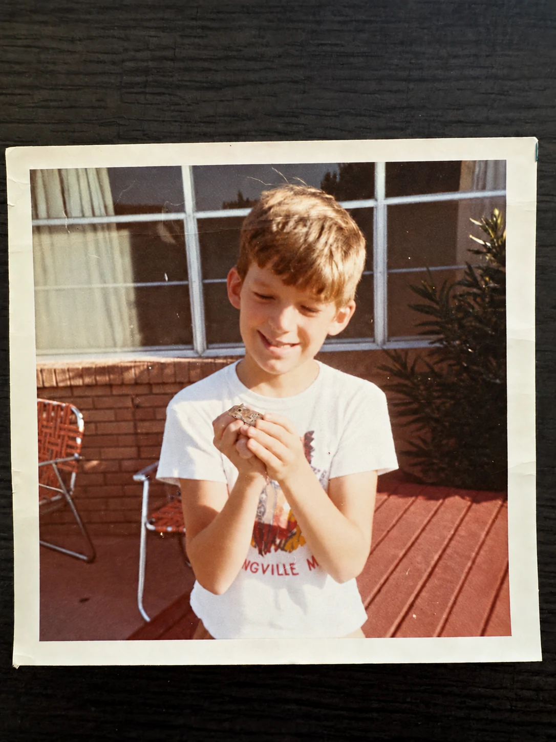 An edited childhood photograph of a boy smiling and holding a small horned lizard.